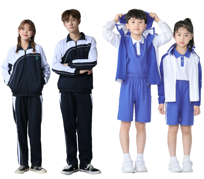 /ueditor/image/20260129/1769657381074325/image.png image.png